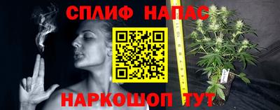 ECSTASY Вязьма