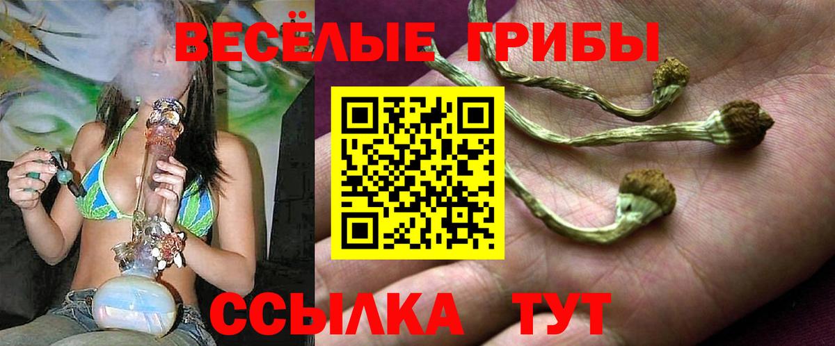 Галлюциногенные грибы Cubensis Губкин