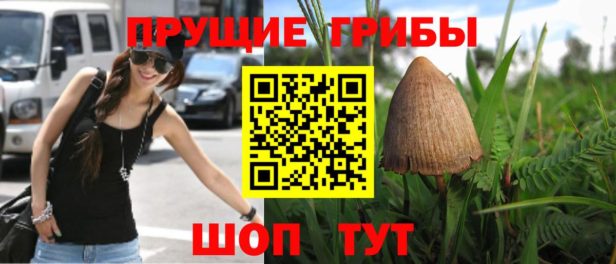 Галлюциногенные грибы MAGIC MUSHROOMS  Вход с VPN  Губкин  как найти закладки  Псилоцибиновые грибы MAGIC MUSHROOMS 